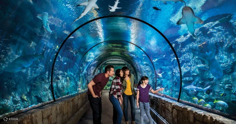 shark reef museum- things to do with your family in vegas